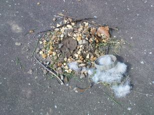 Simple pleasures- a nest created from cut grass, gravel and cotton wool