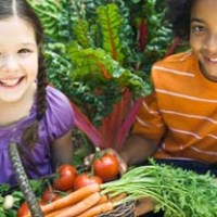 Growing Children 6: Top tips for managing and maintaining your School Garden