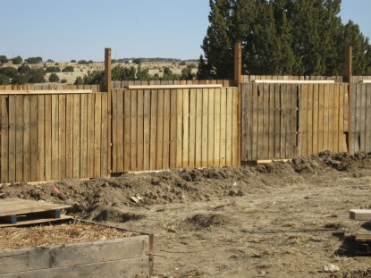 pallet fence, upper garden 3-11-11.jpg