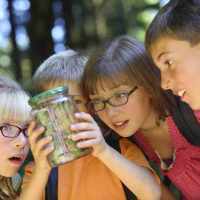 Growing Children 4: AAA rated School Garden in seven steps