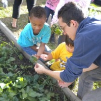 Growing Children 5:  Top tips for School Gardening activities
