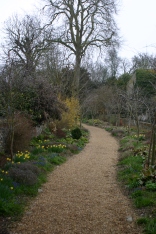 The winding path with mixed planting