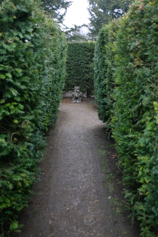 Inside the hedge maze