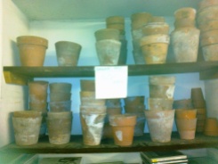 Teracotta pots for sale- 50p each (didn't buy any)