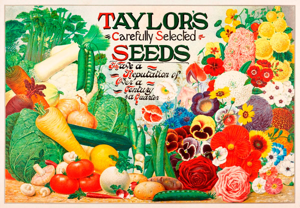 Taylor's Seeds
