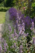 Want to improve the attractiveness and functioning of your garden? Then read on...
