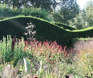 Hedges can be used to divide up a space and perhaps be a point of interest themselves..
