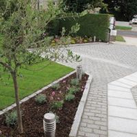 Making an Entrance: Tips for Front Garden Design