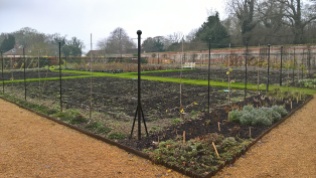 Looking ready to go.. the Walled Garden weeded and mulched.
